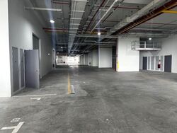Ct Foodnex (D25), Factory #497817761